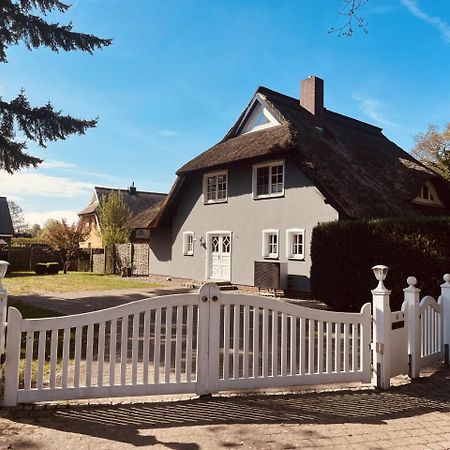 Ferienwohnung Lasse In Wieck Buitenkant foto