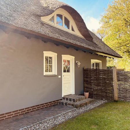 Ferienwohnung Lasse In Wieck Buitenkant foto
